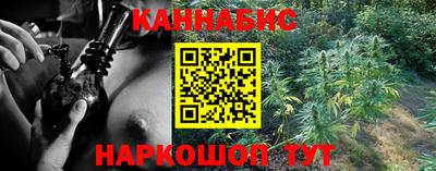 сатива Донецк