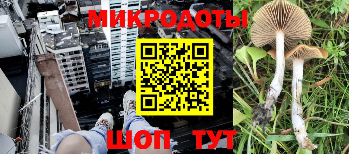 Псилоцибиновые грибы мицелий  Вход с VPN  Галлюциногенные грибы Psilocybine cubensis  Михайловка 
