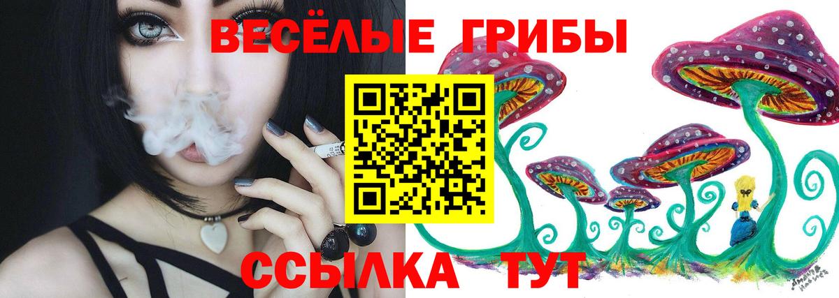 Псилоцибиновые грибы прущие грибы Михайловка